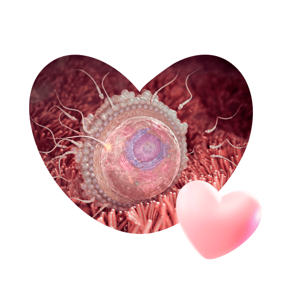 1 неделя беременности