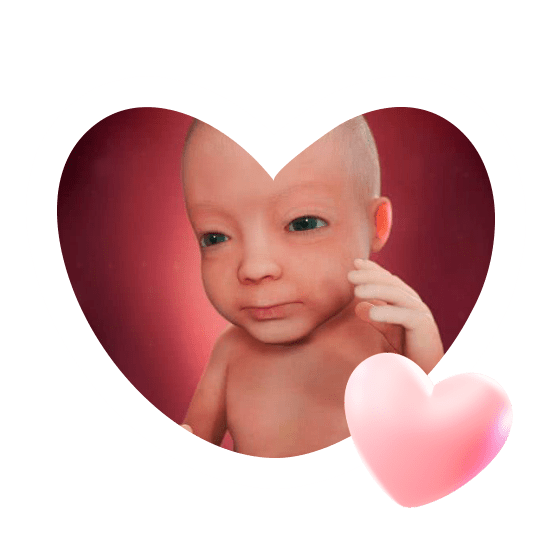 27 неделя беременности