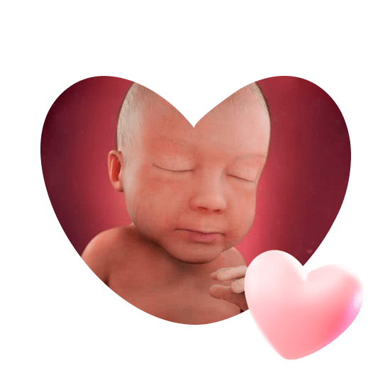 28 неделя беременности