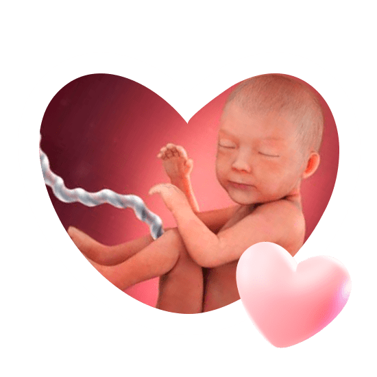 30 неделя беременности