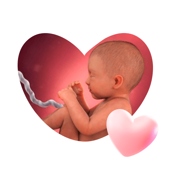 34 неделя беременности