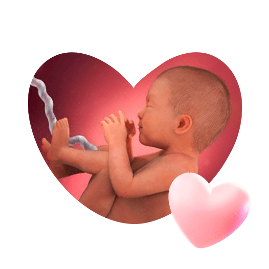 35 неделя беременности