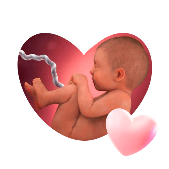 38 неделя беременности