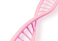 Гинекологическое УЗИ