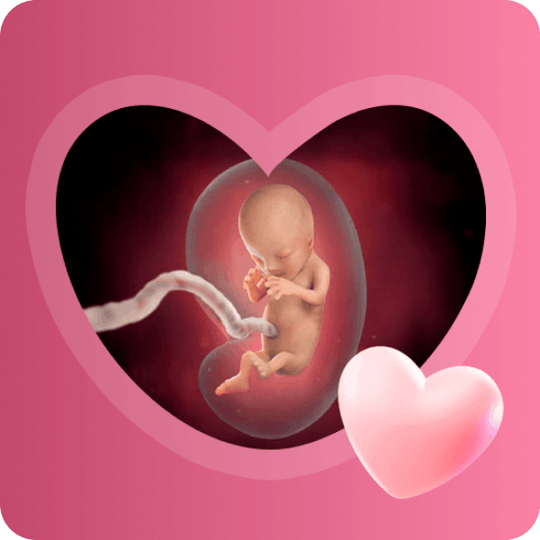 👶 3 месяц беременности в Краснодаре | Развитие плода и первые шевеления