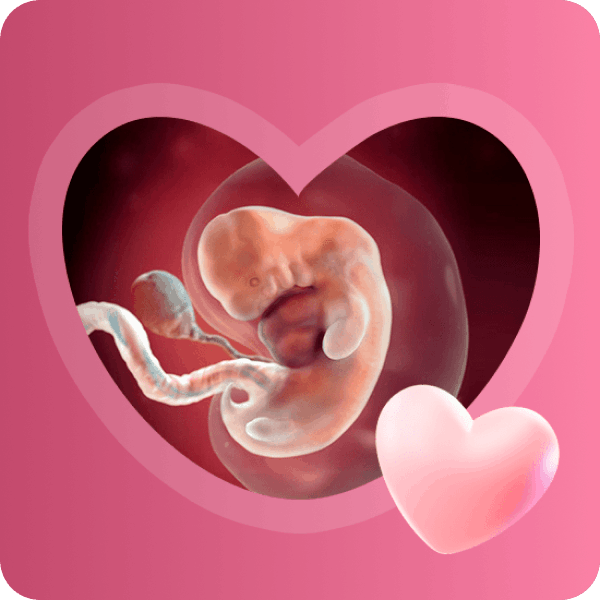 👶 7 неделя беременности в Краснодаре | Развитие плода и изменения у мамы
