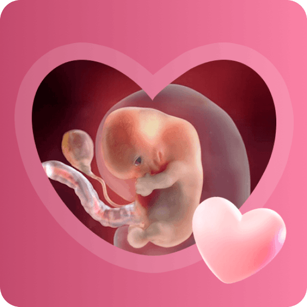 👶 8 неделя беременности в Краснодаре | Развитие органов и ощущения мамы