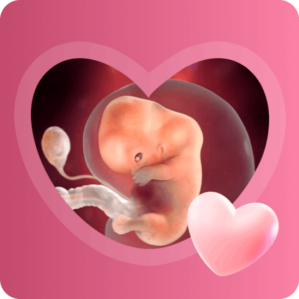 👶 9 неделя беременности в Краснодаре | Развитие мозга и изменения у мамы