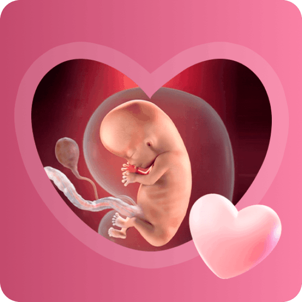 👶 10 неделя беременности в Краснодаре | Развитие плода и состояние мамы