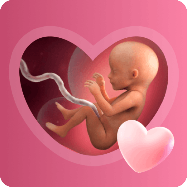 👶 17 неделя беременности в Краснодаре | Развитие плода и ощущения мамы
