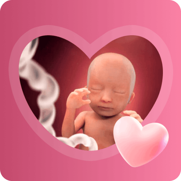 👶 18 неделя беременности в Краснодаре | Рост плода и развитие иммунитета