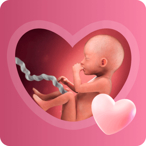 👶 20 неделя беременности в Краснодаре | Размер плода и мимика