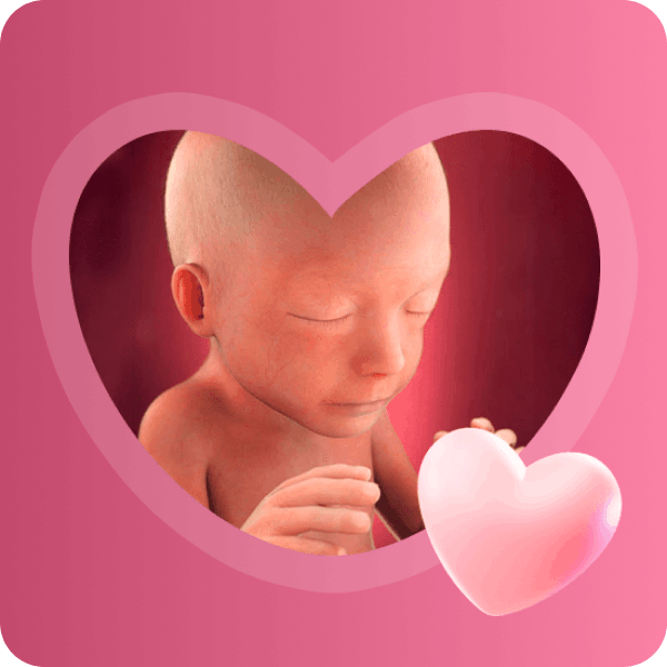 👶 21 неделя беременности в Краснодаре | Развитие пищеварения и сновидения плода