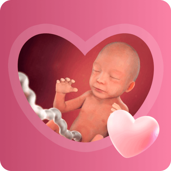 👶 22 неделя беременности в Краснодаре | Развитие мозга и реакция на свет
