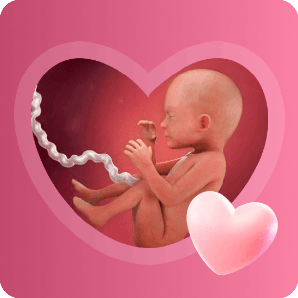 👶 23 неделя беременности в Краснодаре | Ребёнок жизнеспособен вне утробы