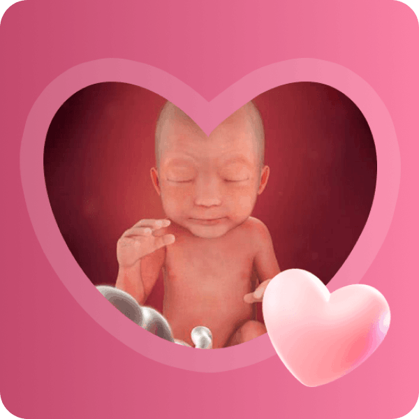 👶 24 неделя беременности в Краснодаре | Накопление жира и ощутимые толчки