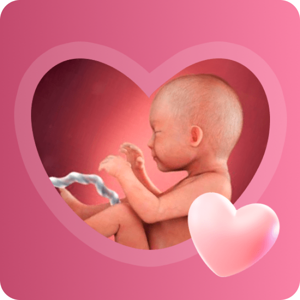 👶 29 неделя беременности в Краснодаре | Развитие обоняния и накопление жира