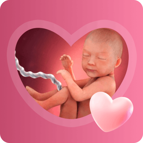 👶 30 неделя беременности в Краснодаре | Размер плода и реакция на раздражения