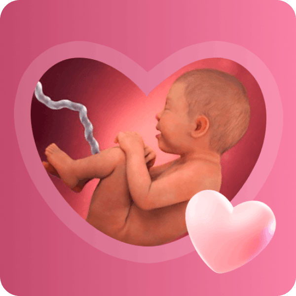 👶 36 неделя беременности в Краснодаре | Подготовка к самостоятельной жизни
