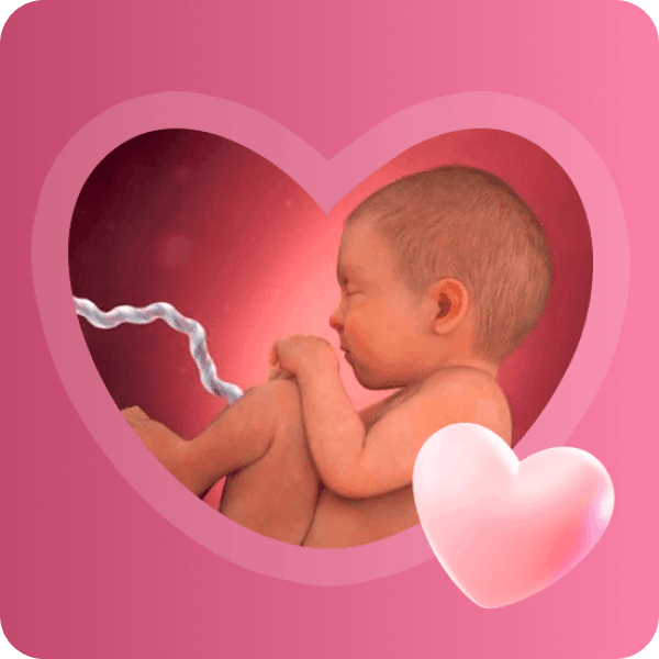 👶 39 неделя беременности в Краснодаре | Предвестники родов и размер плода